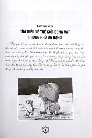 Vẽ Truyện Tranh Phong Cách Nhật Bản - Tạo Hình Và Bối Cảnh Truyện Tranh Hoạt Hình