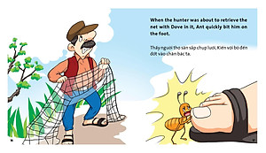 Truyện tranh ngụ ngôn dành cho thiếu nhi ( Song ngữ Anh- việt )Kiến và chim bồ câu ,