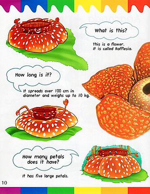 Sách My First Questions & Answers - Rainforest