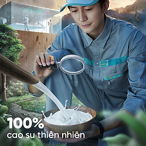 Nệm Cao Su Một Mặt Lỗ Đồng Phú DPCS1615 (160 x 200 x 15 cm)