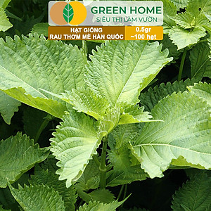 Hạt Giống Rau Thơm Mè Greenhome, Gói 0.5g, Dễ Trồng Quanh Năm, Nảy Mầm Cao, Thu Hoạch Nhanh, Năng Suất Cao R17