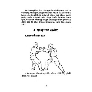 Bình Định Chân Truyền (Bộ 3 Tập)