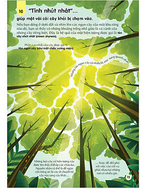 Sách 100 Bí Ẩn Đáng Kinh Ngạc Về Trái Đất - 100 Things To Know About Planet Earth