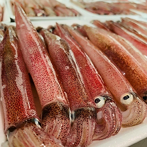 Mực Ghim Khay 500g