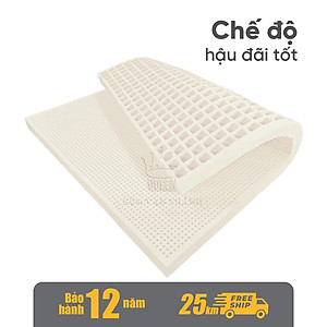 Nệm cao su Vạn Thành Standard chính hãng