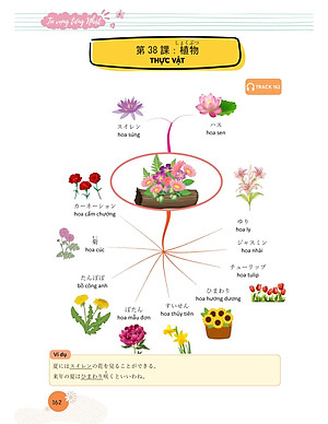 Mindmap Từ Vựng Tiếng Nhật - Học Từ Vựng Tiếng Nhật Qua Sơ Đồ Tư Duy