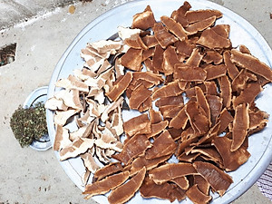 Đặc Sản Kon Tum - Nấm Hồng Chi (Linh Chi Rừng) Việt Nam Hỗ Trợ Hạn Chế U Khối Ác Tính (1Kg) - OCOP 3 Sao