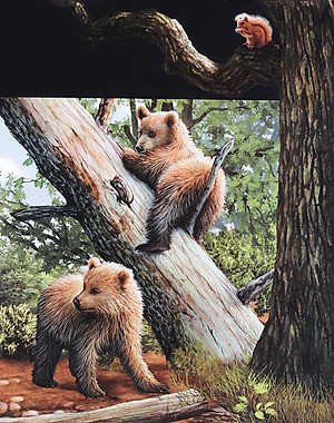 Sách Di Chuyển Và Di Cư