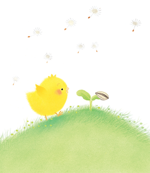 Sách - Gà con và hoa hướng dương