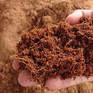 Xơ Dừa- Mùn Dừa Trồng Cây Đã Sử Lí
