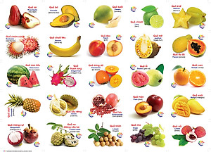  Bộ Thẻ Học Thông Minh Flashcards 16 Chủ Đề Cho Bé Học - Bộ 416 Thẻ Học Sông Ngữ Anh Việt Cao Cấp