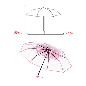Dù xếp trong suốt hoa anh đào V.2 - Màu hồng