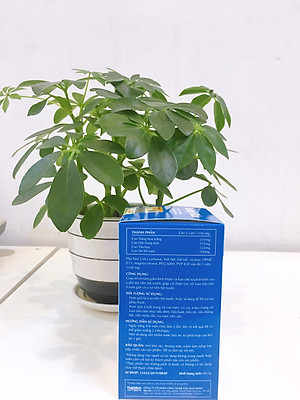 Vương bảo lọ 80 viên