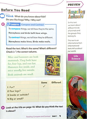 Oxford Discover 2nd Edition: Level 2: Student Book Pack