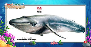 Sách Song Ngữ Anh - Việt CBKPTGXQ - Động Vật Dưới Nước