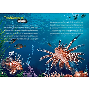 Sách Khám Phá Thế Giới Động Vật Kì Thú : Thế Giới Của Những Loài Động Vật Sát Thủ