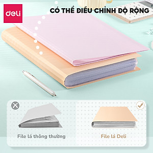 File lá file đựng tài liệu A4 30/40/60 lá Deli - Tệp đựng tài liệu học sinh Bìa file lưu trữ nhiều ngăn có thể mở rộng