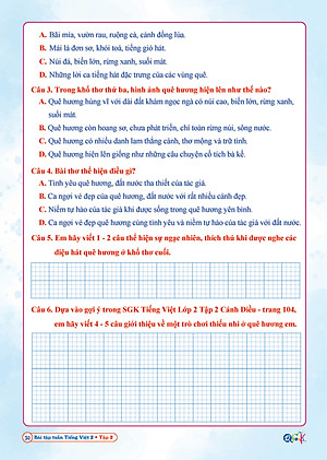 Combo Bài Tập Tuần và Đề Kiểm Tra Toán, Tiếng Việt Lớp 2 - Cánh Diều (Tự Chọn Sách)