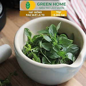 Hạt Giống Rau Quế Greenhome, Gói 10gr~5000 hạt, Húng Quế, Dễ Trồng Quanh Năm, Nảy Mầm Cao, Thu Hoạch Nhanh, Năng Suất Cao G07