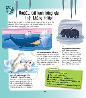 Sách Khám Phá Đầu Tiên Của Tớ Về - Những Kỷ Lục Thế Giới