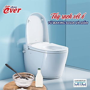 Viên Treo Bồn Cầu Evershine 54GR Hương Chanh