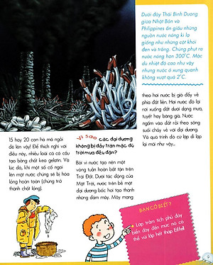 Sách Vì Sao? Như Thế Nào? Biển (Tái Bản)