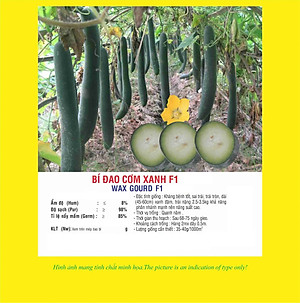 Hạt giống bí đao cơm xanh F1 quả dài giống khỏe năng suất cao VTP06