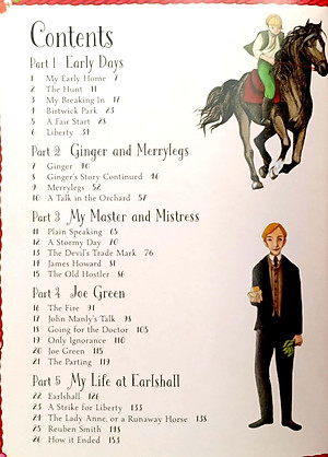 Mini Classics - Black Beauty