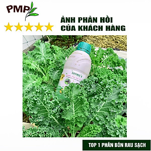 Phân SOYMIC V PMP Siêu Phân Bón Ủ Vi Sinh Từ Đậu Nành, Trứng, Chuối, Humic, Vi Lượng Cho Rau Sạch 1000ml