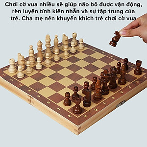 Cờ Vua Nam Châm  Bằng Gỗ Cao Cấp Chọn Size - Bộ Cờ Vua Cao Cấp Gỗ Tự Nhiên Có Gắn Nam Châm Chính Hãng miDoctor