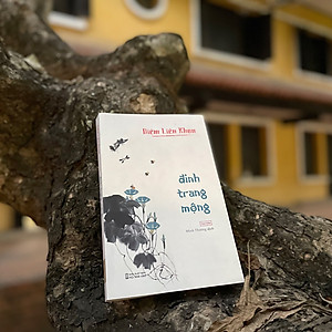 Sách Đinh Trang Mộng - Tái Bản