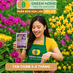 Phân Bón Lan Greenhome, 1 Tép, Túi Lưới, Tan Chậm, Không Mùi Hôi, Dưỡng Lan Ra Rễ, Xanh Tốt, Dùng Tốt Cho Sen Đá, Kiểng
