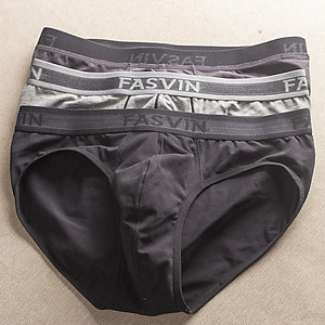 Quần lót nam fasvin MSV07.HN vải cotton chun dày dặn mềm mại co giãn dễ chịu