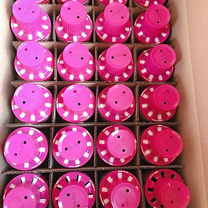 Cốc Thả Bồn Cầu Hàn Quốc Siêu Sạch Siêu Thơm