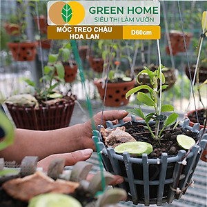 10 Móc Treo Chậu Lan Greenhome, D60Cm, Thiết Kế Tối Giản, Thẩm Mỹ, Treo Lan, Chậu Hoa, Dễ Sử Dụng