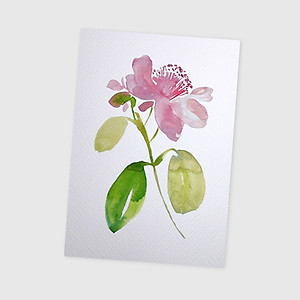 Giấy vẽ màu nước A5 giấy cao cấp có vân đẹp màu trắng sang, dòng giấy chuyên dụng chất giấy dày định lượng 260gsm nhập từ Ý 15 tờ TI599 Green Art- Hàng chính hãng