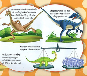 Sách Những Điều Kỳ Thú - Kiến Thức Thú Vị