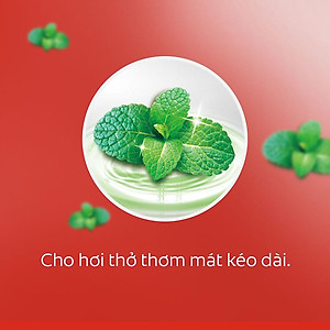 Bộ 3 Kem đánh răng Colgate Than tre sạch thuần khiết từ Hàn Quốc 180g/ tuýp