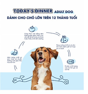 [1KG ] - Thức ăn hạt cho chó thơm ngon, bổ dưỡng TODAY'S DINNER