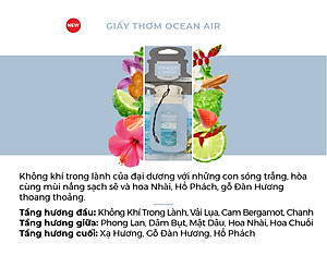 Giấy Thơm Xe Yankee Candle - Ocean Air