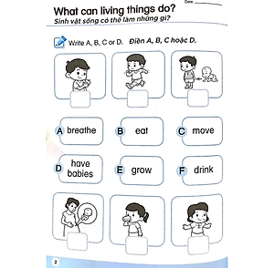 Khoa Học Tiền Tiểu Học Song Ngữ - Sách Luyện Tập 4