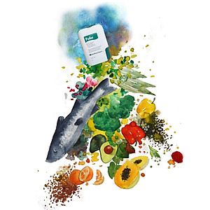 Viên uống bổ sung Acid Folic và các chất dinh dưỡng thiết yếu cho mẹ bầu và cho con bú Folio - Hộp 30 viên - Hộp màu xanh 