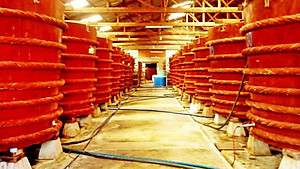 Nước mắm nhĩ cá cơm gia truyền Chánh Đức 50 độ đạm, sánh đặc cốt cá, ủ chượp thùng gỗ cùng muối tinh khiết, sạch sẽ, không chất bảo quản