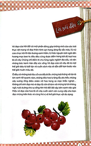 Sách Thực Vật Xinh Đẹp