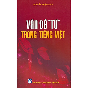 Vấn Đề "Từ" Trong Tiếng Việt