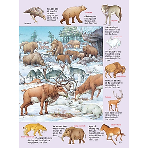 Sách Thử tài tìm kiếm – Thành phố