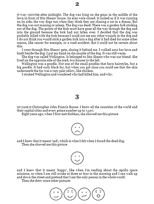 The Curious Incident of the Dog in the Night-time : Vintage Children's Classics