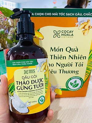 Bộ dầu gội thảo dược gừng dừa Cocayhoala hỗ trợ trị gàu, giảm nấm ngứa, dung tích 440g/chai- 95% thành phần từ gừng tươi hữu cơ còn nguyên xơ gừng, hỗ trợ trị rụng tóc, kích thích mọc tóc vượt trội