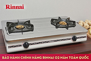 Bếp gas đôi dương Rinnai RV-375 SW(N) (Trắng)- Hàng chính hãng
