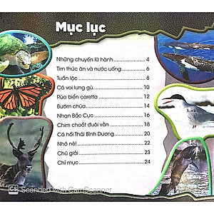 Sách Độc Lạ Phi Thường - Lữ Khách Thường Niên